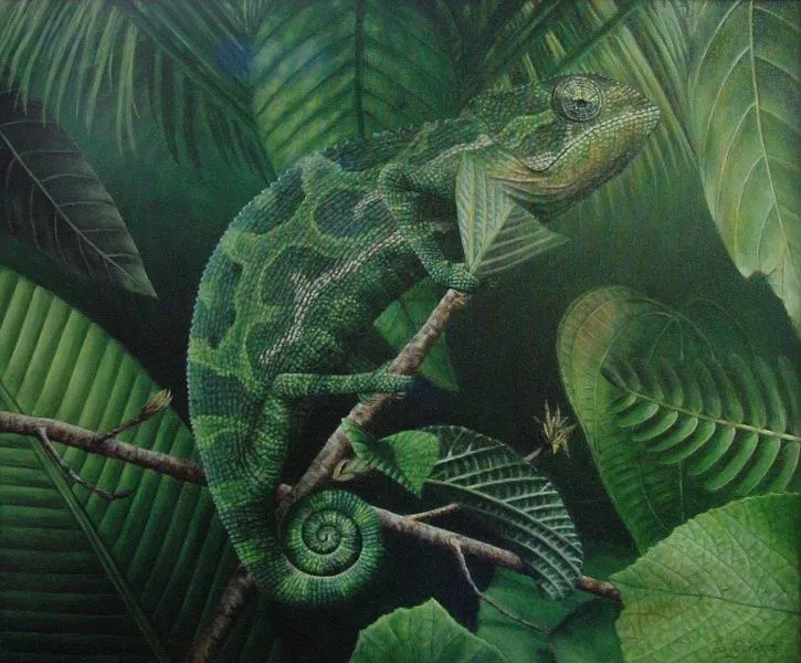 Why the Chameleon Changes Colour